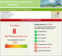 Reputation Marketing Report Reputation Marketing Report